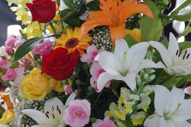Flowers Colorful - GIMP online editor free Free download Flowers Colorful - free photo or picture to be edited with GIMP online image editor