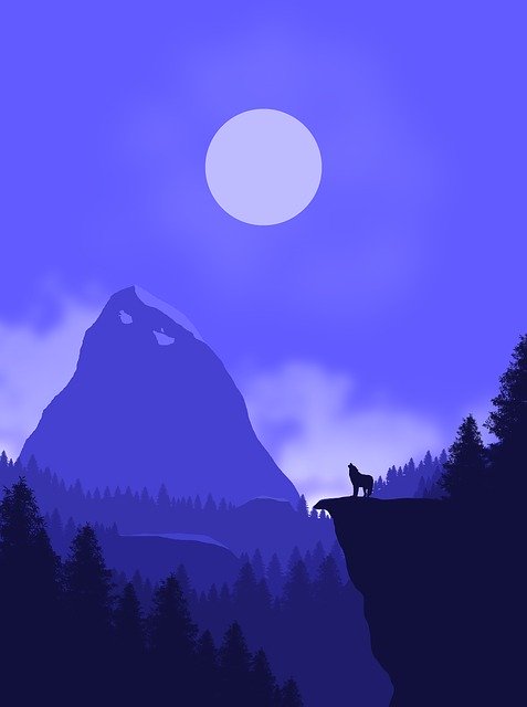 Month Wolf Reef GIMP online editor free Free download Month Wolf Reef free illustration to be edited with GIMP online image editor