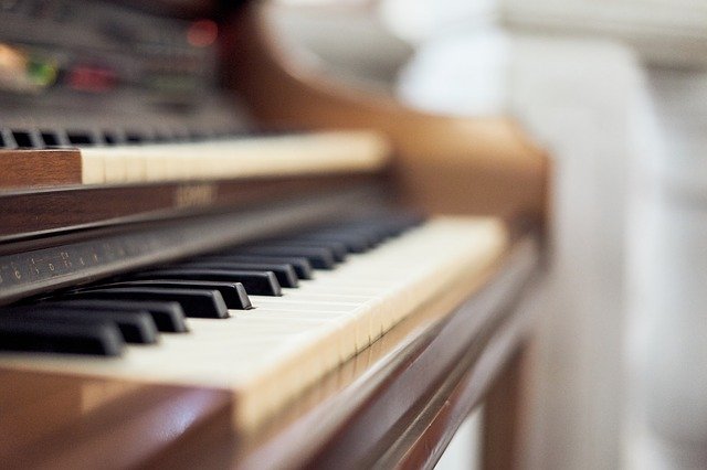 Organo Music Ilge - GIMP online editor free Free download Organo Music Ilge - free photo or picture to be edited with GIMP online image editor