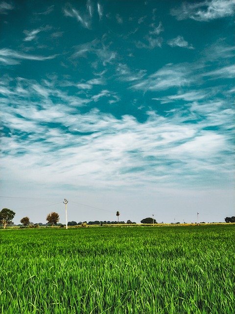 Scenic Clouds Blue Sky Hd GIMP online editor free Free download Scenic Clouds Blue Sky Hd free photo template to be edited with GIMP online image editor