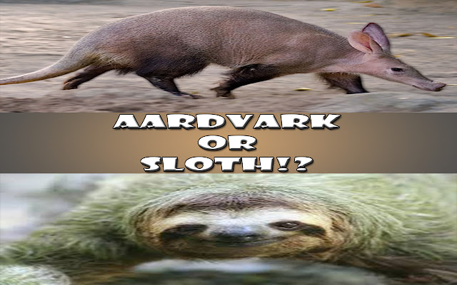 Aardvark or Sloth!? from Chrome web store to be run with OffiDocs Chromium online Aardvark or Sloth!? from Chrome web store to be run with OffiDocs Chromium online