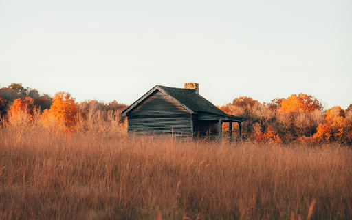 A Cabin in the Middle of a Field from Chrome web store to be run with OffiDocs Chromium online A Cabin in the Middle of a Field from Chrome web store to be run with OffiDocs Chromium online