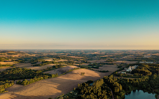 Aerial View of Trees in Field from Chrome web store to be run with OffiDocs Chromium online Aerial View of Trees in Field from Chrome web store to be run with OffiDocs Chromium online