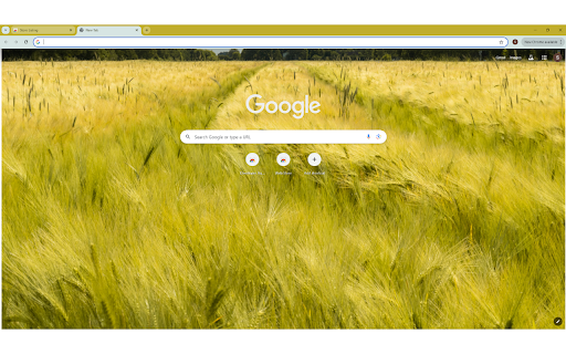 A Field of Barley from Chrome web store to be run with OffiDocs Chromium online A Field of Barley from Chrome web store to be run with OffiDocs Chromium online