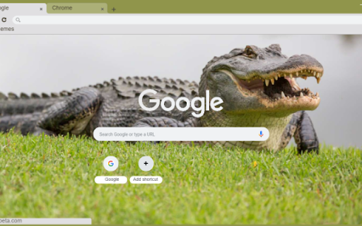 Alligator from Chrome web store to be run with OffiDocs Chromium online Alligator from Chrome web store to be run with OffiDocs Chromium online