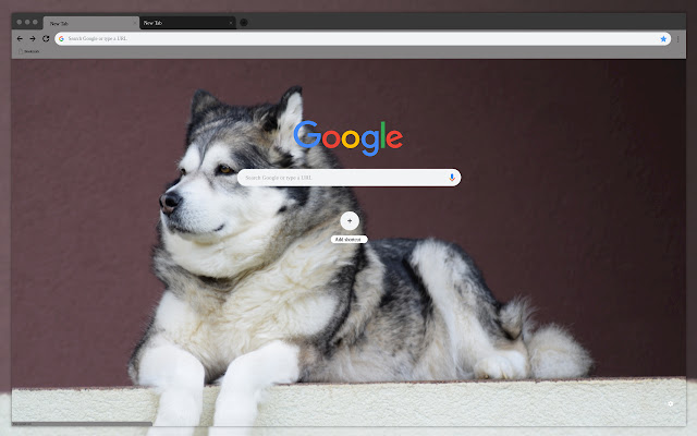 Alpine Malamute from Chrome web store to be run with OffiDocs Chromium online Alpine Malamute from Chrome web store to be run with OffiDocs Chromium online