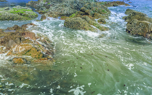 A majestic underwater natural scene from Chrome web store to be run with OffiDocs Chromium online A majestic underwater natural scene from Chrome web store to be run with OffiDocs Chromium online