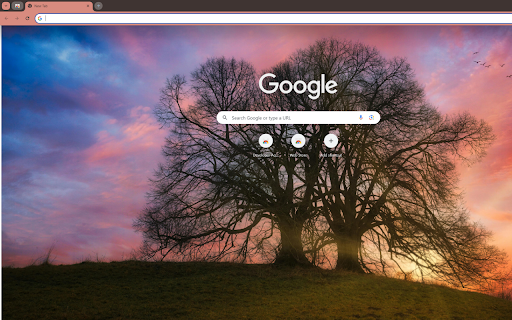 ancient tree atop a hill bathed in the golden from Chrome web store to be run with OffiDocs Chromium online ancient tree atop a hill bathed in the golden from Chrome web store to be run with OffiDocs Chromium online
