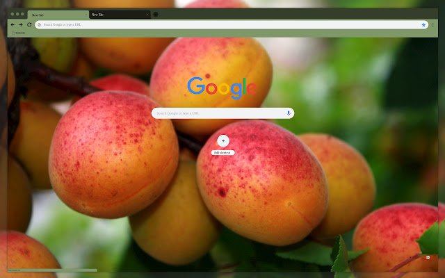 Apricots on a branch from Chrome web store to be run with OffiDocs Chromium online Apricots on a branch from Chrome web store to be run with OffiDocs Chromium online