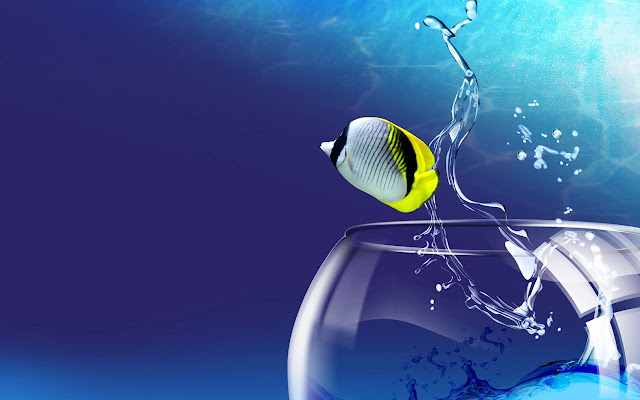 Aqua Fish 3D from Chrome web store to be run with OffiDocs Chromium online Aqua Fish 3D from Chrome web store to be run with OffiDocs Chromium online