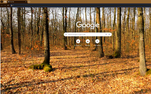 artistically captures a pine forest in autumn from Chrome web store to be run with OffiDocs Chromium online artistically captures a pine forest in autumn from Chrome web store to be run with OffiDocs Chromium online
