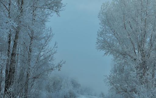 A Snow Covered Road in the Countryside from Chrome web store to be run with OffiDocs Chromium online A Snow Covered Road in the Countryside from Chrome web store to be run with OffiDocs Chromium online