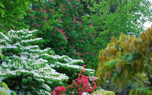 A Tapestry of Springtime Blooms from Chrome web store to be run with OffiDocs Chromium online A Tapestry of Springtime Blooms from Chrome web store to be run with OffiDocs Chromium online