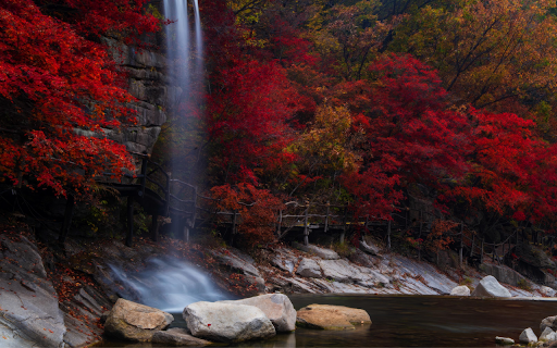 Autumn Waterfall Serenity from Chrome web store to be run with OffiDocs Chromium online Autumn Waterfall Serenity from Chrome web store to be run with OffiDocs Chromium online