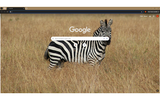 A Zebra in a Grassland from Chrome web store to be run with OffiDocs Chromium online A Zebra in a Grassland from Chrome web store to be run with OffiDocs Chromium online