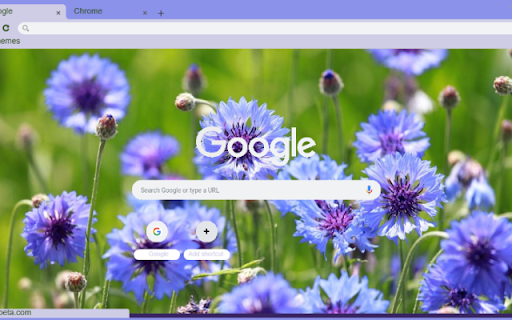 Bachelor’s Button from Chrome web store to be run with OffiDocs Chromium online Bachelor’s Button from Chrome web store to be run with OffiDocs Chromium online