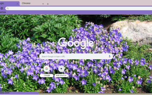 Balloon Flower from Chrome web store to be run with OffiDocs Chromium online Balloon Flower from Chrome web store to be run with OffiDocs Chromium online