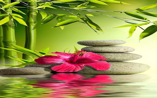 Bamboo and stone wallpaper from Chrome web store to be run with OffiDocs Chromium online Bamboo and stone wallpaper from Chrome web store to be run with OffiDocs Chromium online