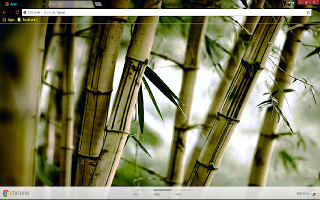 Bamboo Earth Green Nature Photography Tree from Chrome web store to be run with OffiDocs Chromium online Bamboo Earth Green Nature Photography Tree from Chrome web store to be run with OffiDocs Chromium online