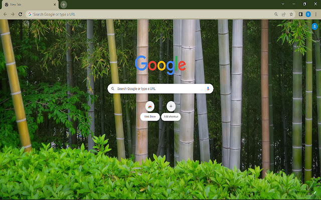Bamboo Trees Theme from Chrome web store to be run with OffiDocs Chromium online Bamboo Trees Theme from Chrome web store to be run with OffiDocs Chromium online