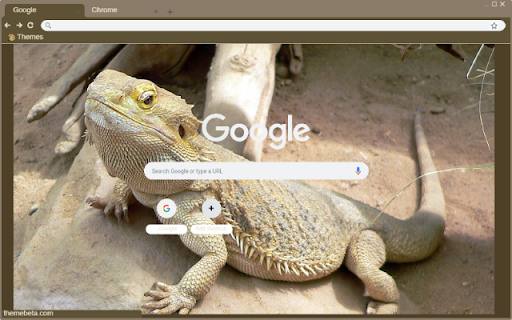 Bearded Dragon from Chrome web store to be run with OffiDocs Chromium online Bearded Dragon from Chrome web store to be run with OffiDocs Chromium online