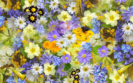 Beautiful little flowers from Chrome web store to be run with OffiDocs Chromium online Beautiful little flowers from Chrome web store to be run with OffiDocs Chromium online