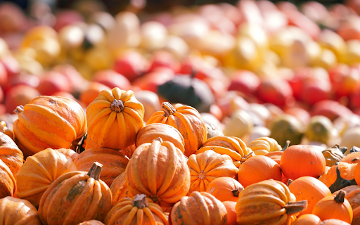 Beautiful pumpkins from Chrome web store to be run with OffiDocs Chromium online Beautiful pumpkins from Chrome web store to be run with OffiDocs Chromium online