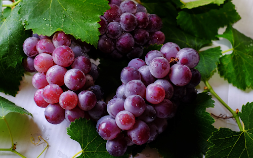 Berry Bunch, Velvet Hues Gleam from Chrome web store to be run with OffiDocs Chromium online Berry Bunch, Velvet Hues Gleam from Chrome web store to be run with OffiDocs Chromium online