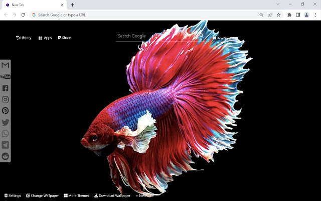 Betta Fish Wallpaper New Tab from Chrome web store to be run with OffiDocs Chromium online Betta Fish Wallpaper New Tab from Chrome web store to be run with OffiDocs Chromium online