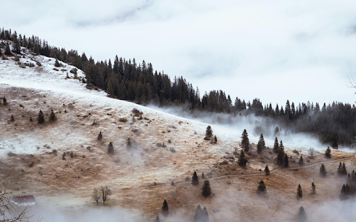 Birds Eye View of a Foggy Landscape from Chrome web store to be run with OffiDocs Chromium online Birds Eye View of a Foggy Landscape from Chrome web store to be run with OffiDocs Chromium online