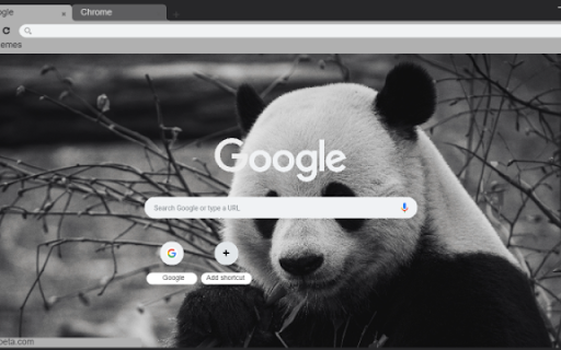 Black Bear from Chrome web store to be run with OffiDocs Chromium online Black Bear from Chrome web store to be run with OffiDocs Chromium online