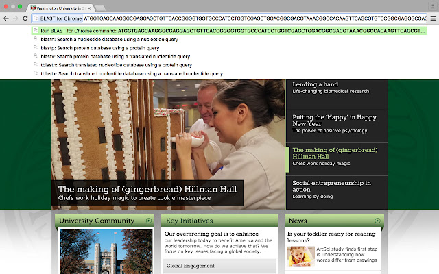 BLAST for Chrome from Chrome web store to be run with OffiDocs Chromium online BLAST for Chrome from Chrome web store to be run with OffiDocs Chromium online