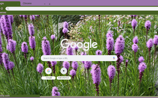 Blazing Star from Chrome web store to be run with OffiDocs Chromium online Blazing Star from Chrome web store to be run with OffiDocs Chromium online