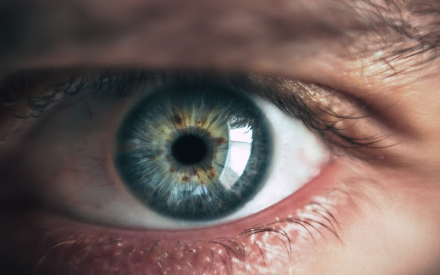 Blink Search from Chrome web store to be run with OffiDocs Chromium online Blink Search from Chrome web store to be run with OffiDocs Chromium online