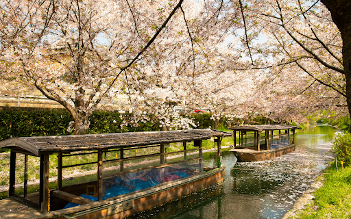 boats sailing on water channel near blooming trees from Chrome web store to be run with OffiDocs Chromium online boats sailing on water channel near blooming trees from Chrome web store to be run with OffiDocs Chromium online
