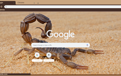 Bo Cap from Chrome web store to be run with OffiDocs Chromium online Bo Cap from Chrome web store to be run with OffiDocs Chromium online