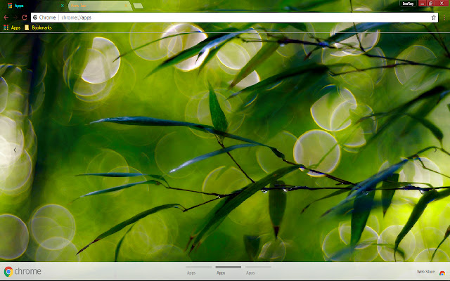 Bokeh Dew Drop Green Leaf from Chrome web store to be run with OffiDocs Chromium online Bokeh Dew Drop Green Leaf from Chrome web store to be run with OffiDocs Chromium online