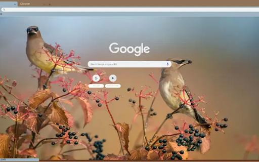 Bombycilla cedrorum from Chrome web store to be run with OffiDocs Chromium online Bombycilla cedrorum from Chrome web store to be run with OffiDocs Chromium online