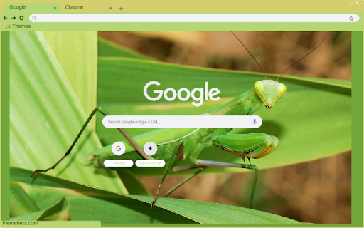 Bo Ngua from Chrome web store to be run with OffiDocs Chromium online Bo Ngua from Chrome web store to be run with OffiDocs Chromium online