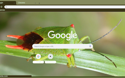 Bo Xit from Chrome web store to be run with OffiDocs Chromium online Bo Xit from Chrome web store to be run with OffiDocs Chromium online