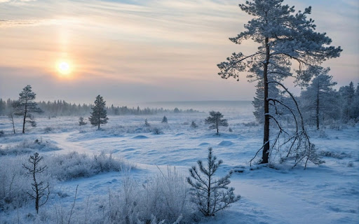 Bulk Theme from Chrome web store to be run with OffiDocs Chromium online Bulk Theme from Chrome web store to be run with OffiDocs Chromium online