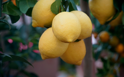 Bunches of lemons from Chrome web store to be run with OffiDocs Chromium online Bunches of lemons from Chrome web store to be run with OffiDocs Chromium online