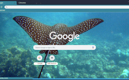 Ca duoi from Chrome web store to be run with OffiDocs Chromium online Ca duoi from Chrome web store to be run with OffiDocs Chromium online