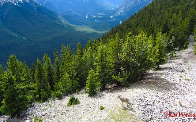 Canadian Rockies from Chrome web store to be run with OffiDocs Chromium online Canadian Rockies from Chrome web store to be run with OffiDocs Chromium online
