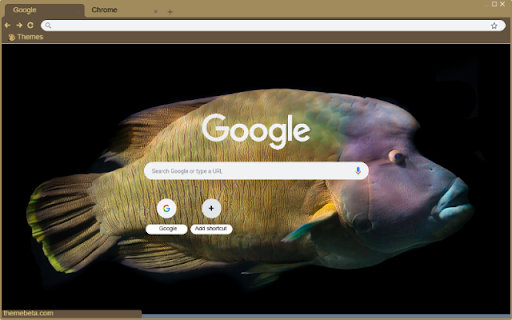 Ca napoleon from Chrome web store to be run with OffiDocs Chromium online Ca napoleon from Chrome web store to be run with OffiDocs Chromium online