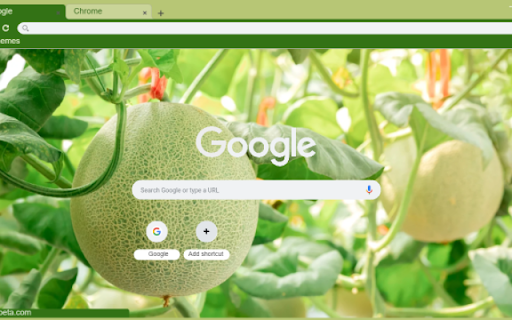Cantaloupe Tree from Chrome web store to be run with OffiDocs Chromium online Cantaloupe Tree from Chrome web store to be run with OffiDocs Chromium online