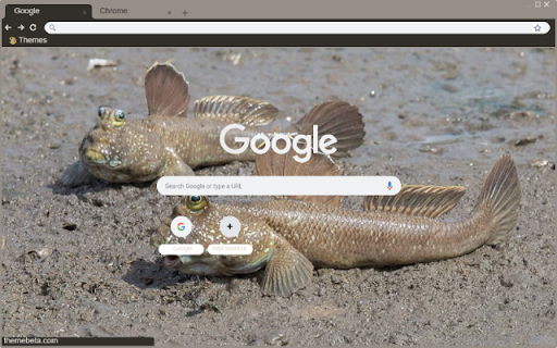 Ca phong from Chrome web store to be run with OffiDocs Chromium online Ca phong from Chrome web store to be run with OffiDocs Chromium online