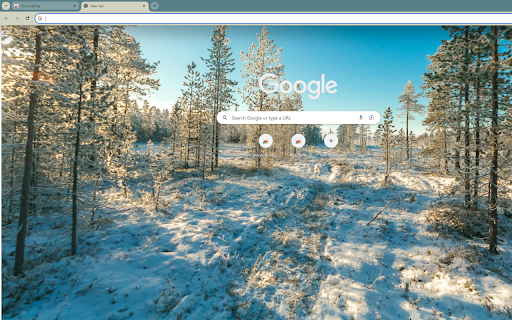 captures dawn in a snow covered pine forest from Chrome web store to be run with OffiDocs Chromium online captures dawn in a snow covered pine forest from Chrome web store to be run with OffiDocs Chromium online