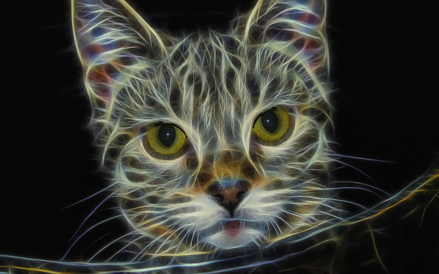 Cat Cat from Chrome web store to be run with OffiDocs Chromium online Cat Cat from Chrome web store to be run with OffiDocs Chromium online