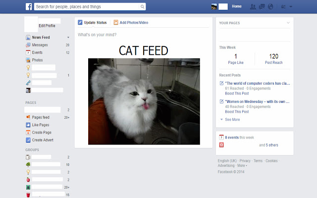 Cat Feed from Chrome web store to be run with OffiDocs Chromium online Cat Feed from Chrome web store to be run with OffiDocs Chromium online